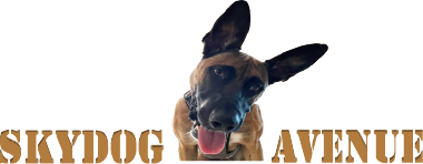 Skydog Avenue